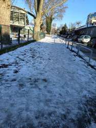 Photo of this report